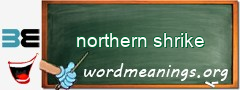 WordMeaning blackboard for northern shrike